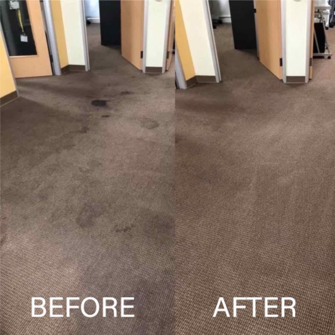 Job photo from Best Care Carpet Cleaners
